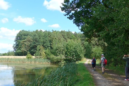 Weg am See entlang nach Weisendorf &ndash; (18.02.2019, Gertrud Härer &copy;&nbsp;Gertrud Härer)