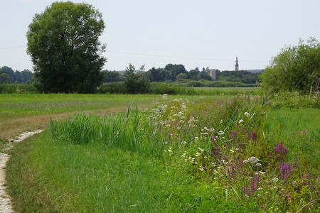 Weg nach Höchstadt Aisch &ndash; (20.07.2018, VGN S.Daßler &copy;&nbsp;VGN GmbH)