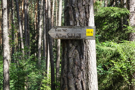 Wegweiser zum alten Schloss &ndash; (18.02.2019, VGN S.Daßler &copy;&nbsp;VGN GmbH)