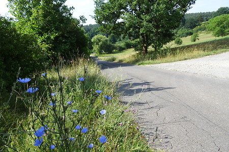 Am Wegesrand &ndash; (20.07.2018, VGN S.Daßler &copy;&nbsp;VGN GmbH)