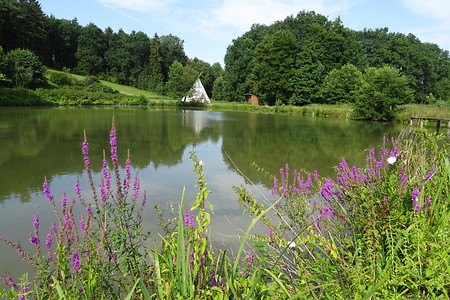 Weiheridylle bei Emskirchen &ndash; (20.07.2018, VGN S.Daßler &copy;&nbsp;VGN GmbH)