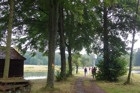 Wanderweg durch die Weiher &ndash; (18.02.2019, Gertrud Härer &copy;&nbsp;Gertrud Härer)
