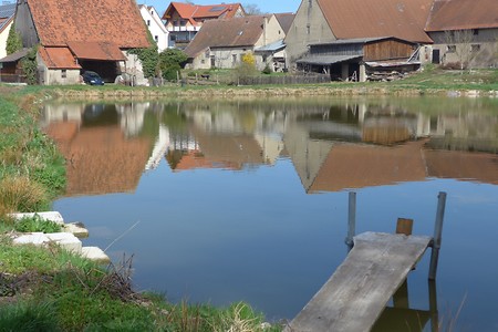 Spiegelung im Dorfweiher &ndash; (18.02.2019, Gertrud Härer &copy;&nbsp;Gertrud Härer)
