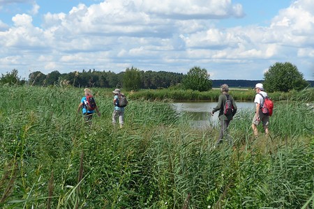 Wanderer durch die Weiherketten &ndash; (18.02.2019, Gertrud Härer &copy;&nbsp;Gertrud Härer)