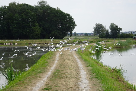Ausflug &ndash; (20.07.2018, VGN S.Daßler &copy;&nbsp;VGN GmbH)