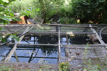 Karpfenzucht &ndash; (20.07.2018, VGN S.Daßler &copy;&nbsp;VGN GmbH)