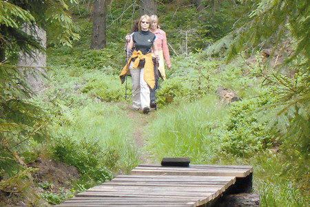 Hölzerner Steg &ndash; (14.06.2011, VGN &copy;&nbsp;VGN GmbH)