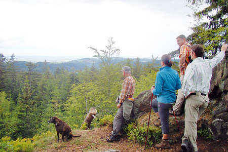 Am Fürstenstein &ndash; (14.06.2011, VGN &copy;&nbsp;VGN GmbH)