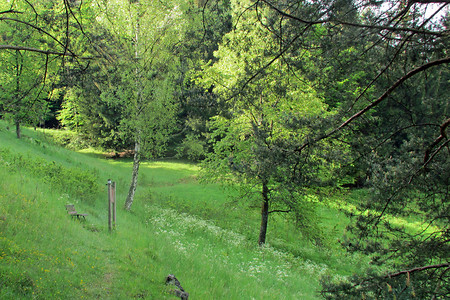 Ziegenweg &ndash; (VGN &copy;&nbsp;VGN GmbH)