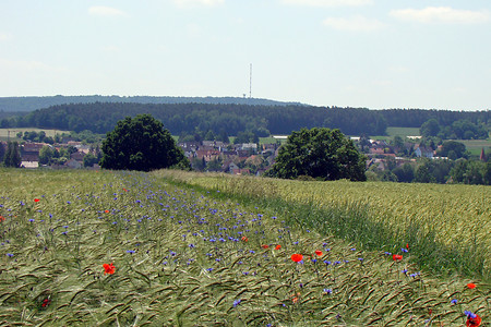 Blick auf den Heidenberg &ndash; (04.02.2016, VGN &copy;&nbsp;VGN GmbH)