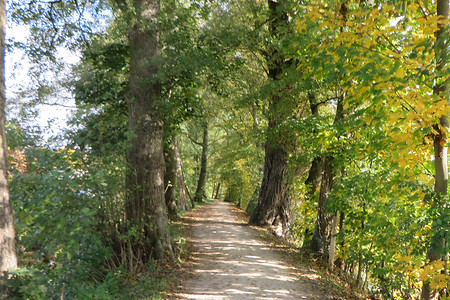 Laubfärbung am Mühlbach &ndash; (04.02.2016, VGN &copy;&nbsp;VGN GmbH)