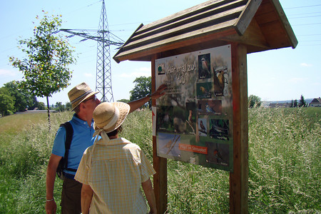 Am Lehrpfad &ndash; (04.02.2016, VGN &copy;&nbsp;VGN GmbH)