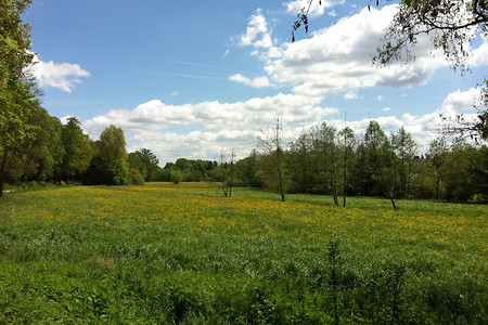 Frühling im Schwabachtal &ndash; (04.02.2016, VGN &copy;&nbsp;VGN GmbH)