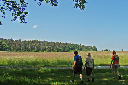 Vor dem ehemaligen US-Gelände &ndash; (04.02.2016, VGN &copy;&nbsp;VGN GmbH)