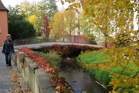 Herbst an der Schwabach &ndash; (04.02.2016, VGN &copy;&nbsp;VGN GmbH)