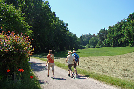 Naturspaziergang &ndash; (04.02.2016, VGN &copy;&nbsp;VGN GmbH)