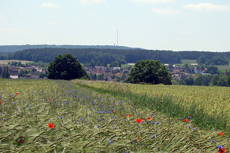 Blick auf den Heidenberg &ndash; (04.02.2016, VGN &copy;&nbsp;VGN GmbH)