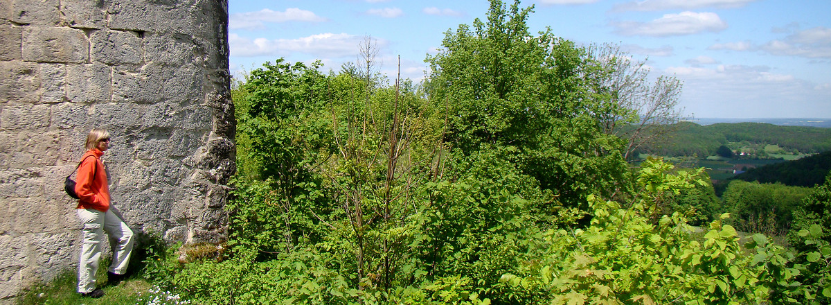 Ausblicke in Richtung Fichtelgebirge &ndash;  (14.05.2012, VGN &copy;&nbsp;VGN GmbH)