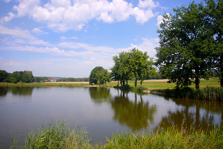 Hahnbach, Weiher &ndash; (02.08.2012, up3 &copy;&nbsp;up3)