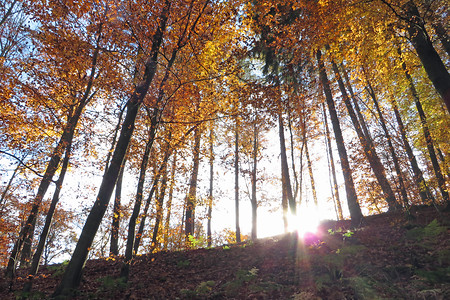 Herbstimmung &ndash; (VGN &copy;&nbsp;VGN GmbH)