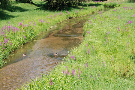 Der Lauterbach an der Obermain Therme &ndash; (VGN &copy;&nbsp;VGN GmbH)