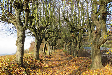 Kreuzweg am Kloster Banz &ndash; Herbsttimmung (VGN &copy;&nbsp;VGN GmbH)