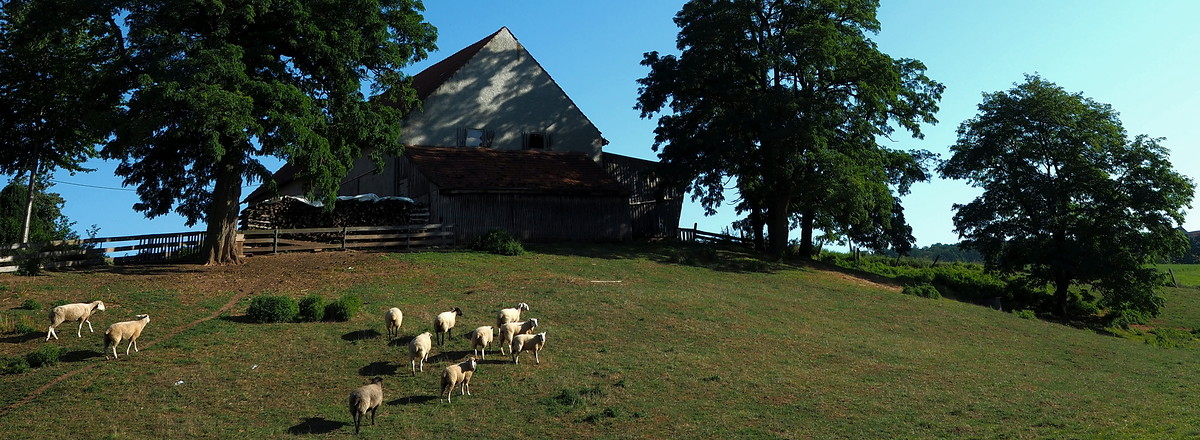 Hütte &ndash;  (04.09.2019, U. Buescher &copy;&nbsp;VGN GmbH)