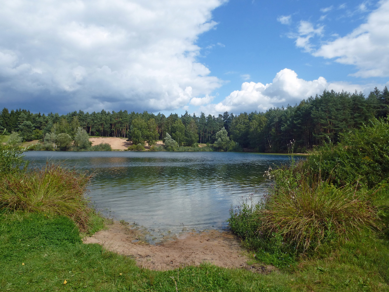 Südufer des Birkensees &ndash; Ein Rundgang um den See lohnt sich  (24.08.2014, VGN &copy;&nbsp;VGN GmbH)
