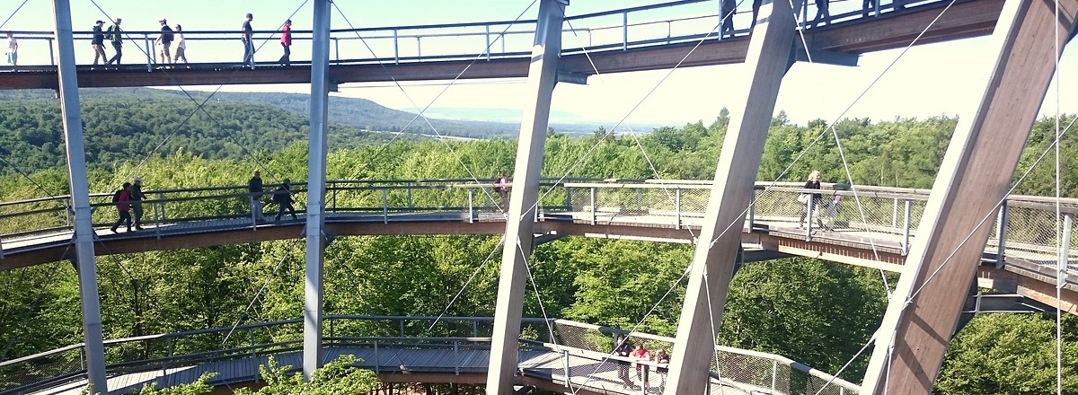 Ganz oben auf dem Baumwipfelplfad &ndash;  (05.06.2018, S. Dassler &copy;&nbsp;VGN GmbH)