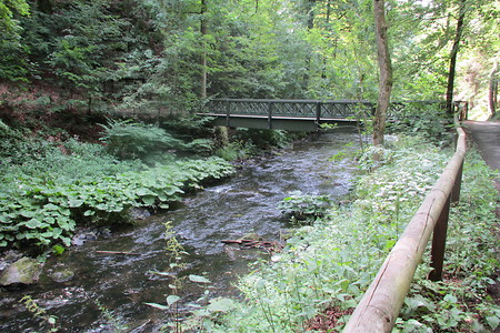 Jägersteg im Sommer &ndash; (19.09.2019, A. u. M. Müller &copy;&nbsp;VGN GmbH)