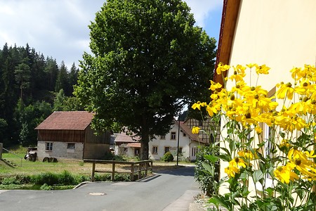 Treunitz Abzweig &ndash; (05.08.2018, S. Dassler &copy;&nbsp;VGN GmbH)