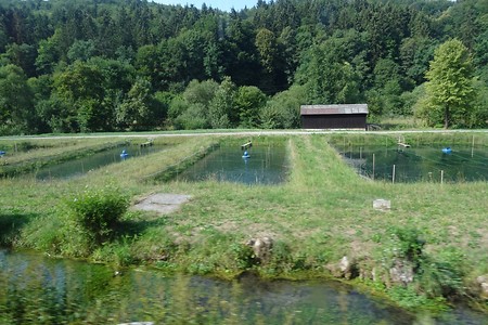 Weiherlandschaft bei Waßmannsmühle &ndash; (04.02.2019, G. Härer &copy;&nbsp;G. Härer)