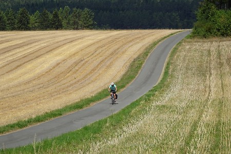 Radweg durch die Felder &ndash; (05.08.2018, S. Dassler &copy;&nbsp;VGN GmbH)