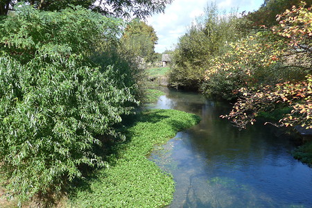 Flussidylle bei Schrammendorf &ndash; (04.02.2019, G. Härer &copy;&nbsp;G. Härer)