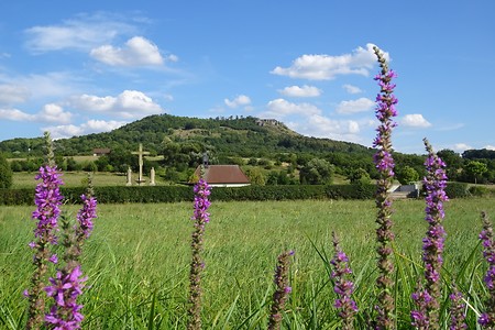 Titelfoto Blick &ndash; (05.08.2018, S. Dassler &copy;&nbsp;VGN GmbH)