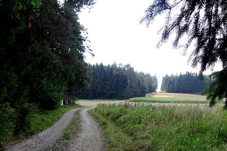 Kurvenreich nach Treunitz &ndash; (05.08.2018, S. Dassler &copy;&nbsp;VGN GmbH)