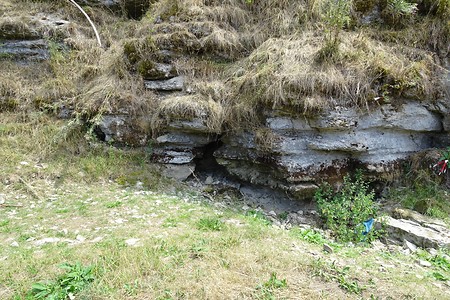 Tummler &ndash; (05.08.2018, S. Dassler &copy;&nbsp;VGN GmbH)