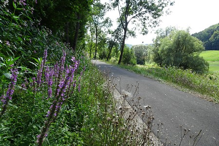 Radweg alte Bahntrasse nach Unterleinleiter &ndash; (05.08.2018, S. Dassler &copy;&nbsp;VGN GmbH)
