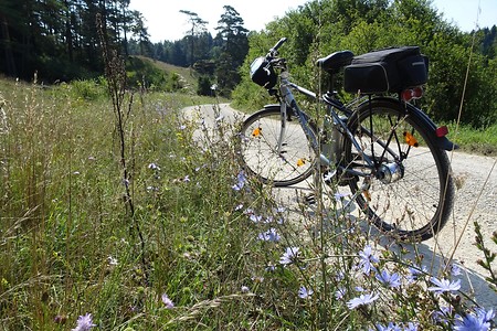 Rad an der Blumenwiese &ndash; (05.08.2018, S. Dassler &copy;&nbsp;VGN GmbH)
