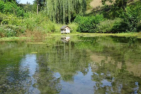 Weismainquelle &ndash; (05.08.2018, S. Dassler &copy;&nbsp;VGN GmbH)
