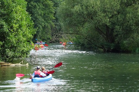 Paddeln auf der Wiesent &ndash; (05.08.2018, S. Dassler &copy;&nbsp;VGN GmbH)