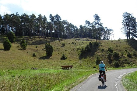 Radler an den Wachholderhängen &ndash; (05.08.2018, S. Dassler &copy;&nbsp;VGN GmbH)