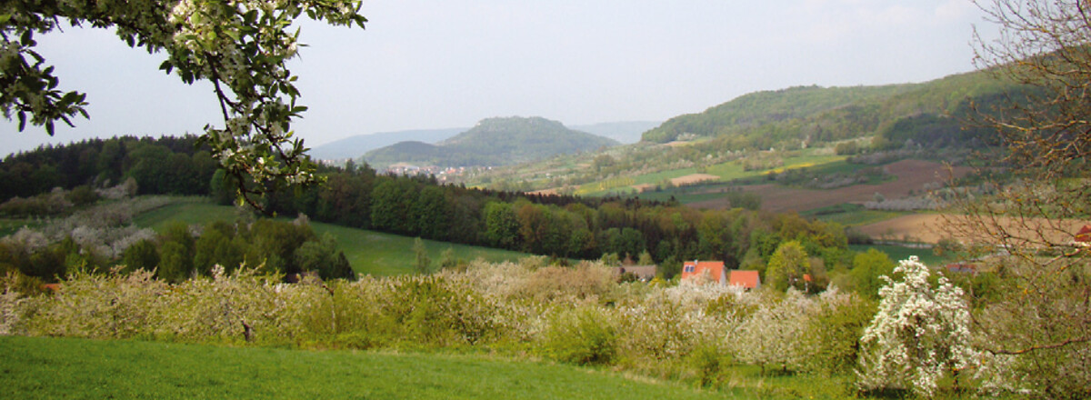 Blick über Oberehrenbach zurück zur Ehrenbürg &ndash;  (VGN &copy;&nbsp;VGN GmbH)