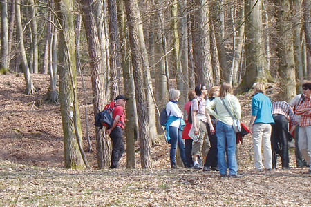 Vor der Ruine Schauerberg &ndash; (26.03.2012, VGN &copy;&nbsp;VGN GmbH)