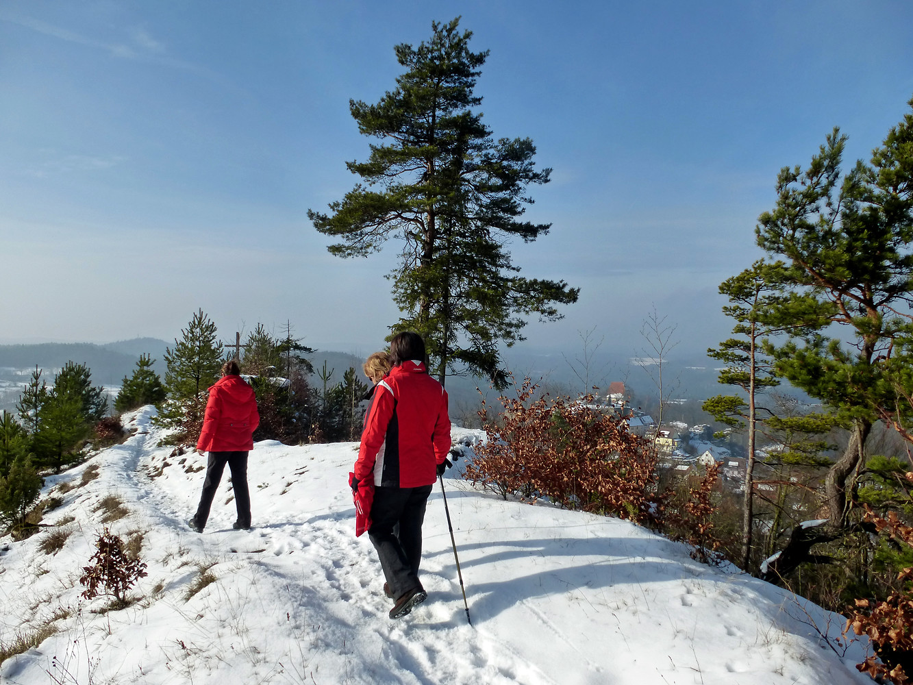 Weg zum Gipfelkreuz auf dem Hirtenberg &ndash;  (01.02.2014, VGN &copy;&nbsp;VGN GmbH)