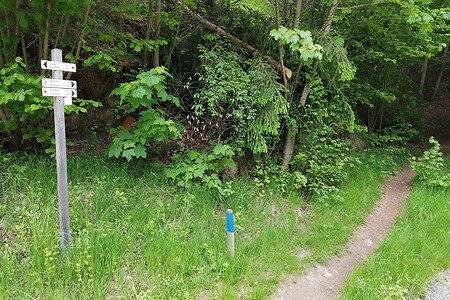Wegabzweig für Etappe 2 &ndash; (26.05.2020, S. Dassler &copy;&nbsp;VGN GmbH)