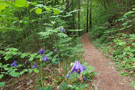 Auf dem Jägersteig &ndash; (26.05.2020, S. Dassler &copy;&nbsp;VGN GmbH)