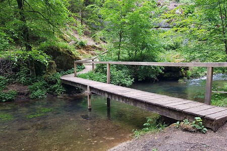 Holzbrücke &ndash; (26.05.2020, S. Dassler &copy;&nbsp;VGN GmbH)