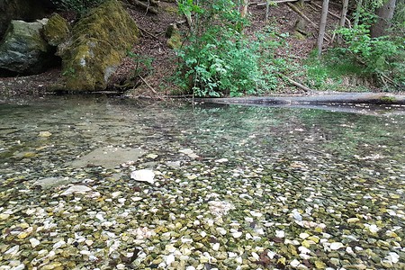 Klumperquelle &ndash; (26.05.2020, S. Dassler &copy;&nbsp;VGN GmbH)