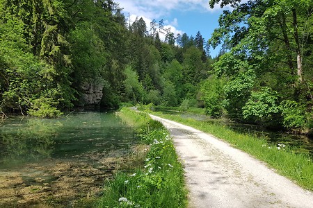 Im Klumpertal &ndash; (26.05.2020, S. Dassler &copy;&nbsp;VGN GmbH)